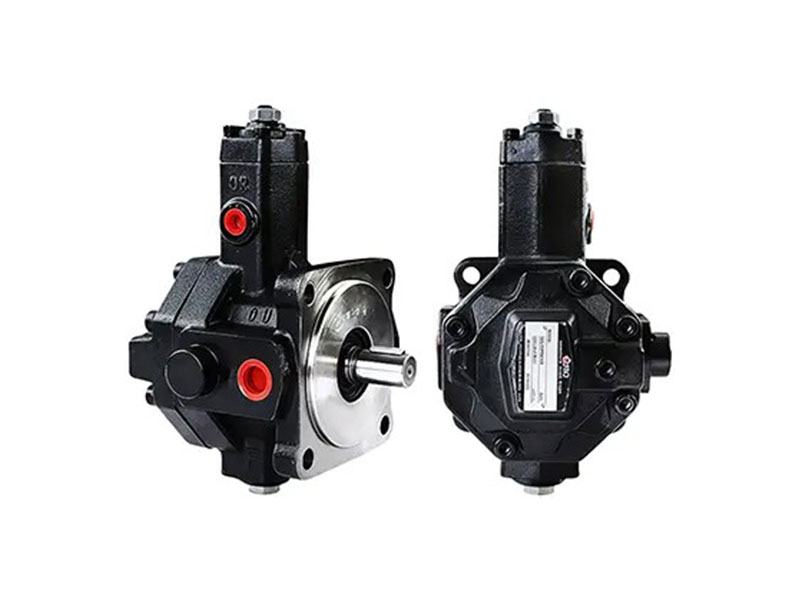 Variable capacity vane oil pump & gear oil pump