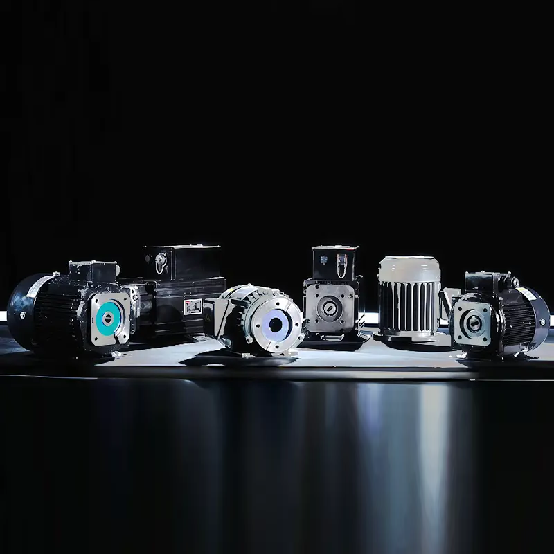 HSL series vertical hydraulic special motor